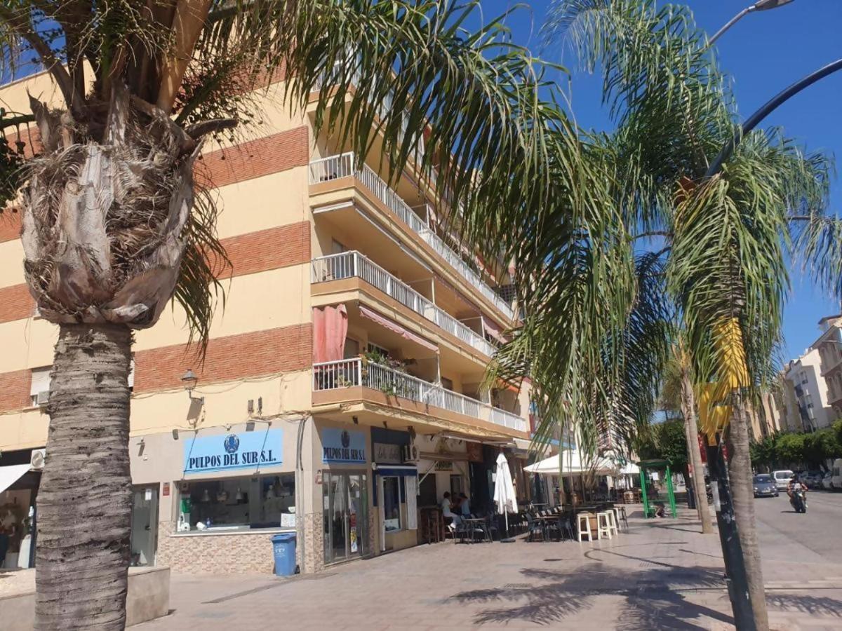 Casaflex , Palmeras Con Vista Al Mar *